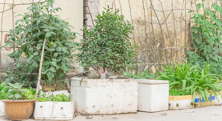 Reuse & Recycle Your Polystyrene Boxes